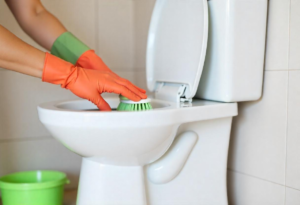 How to clean and disinfect a toilet