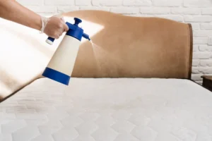 deep clean your bed mattress.